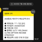 ULTY-3천만원-투자해서-받은-배당금