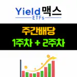 일드맥스 주간배당 7월 1주차, 2주차(YMAX TSLY MSTY)